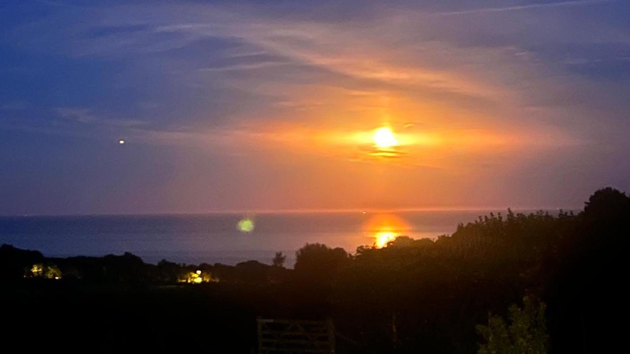 Halekulani Devon Homestay Torquay Zewnętrze zdjęcie