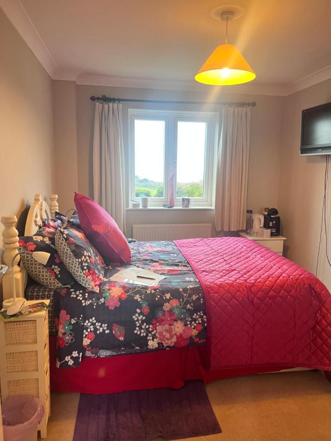 Halekulani Devon Homestay Torquay Zewnętrze zdjęcie